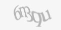 Защитный код
